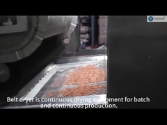 στεγνωτήρας ζωνών